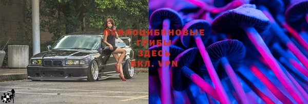 дурь Алексин