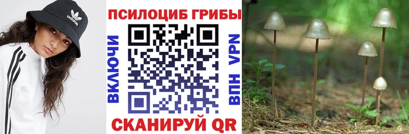 Псилоцибиновые грибы ЛСД  Новоузенск 